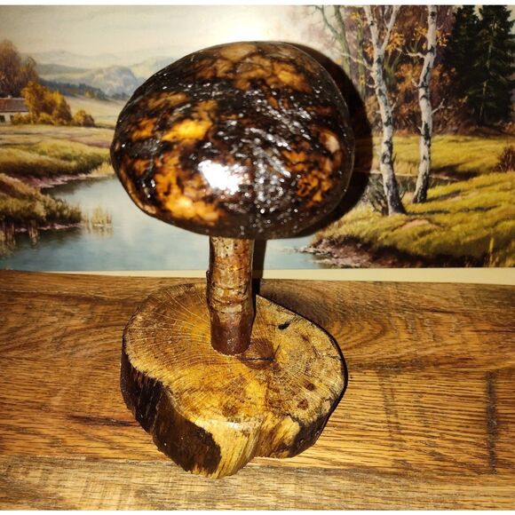 Handcrafted Mushroom/Tree Art Made from Small Live Oak Burl - Unique and Rustic - Picture 3 of 11